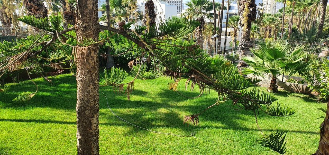 Adults Only Sunny Quiet Apartment In Center Of Las Americas Arona  Luaran gambar