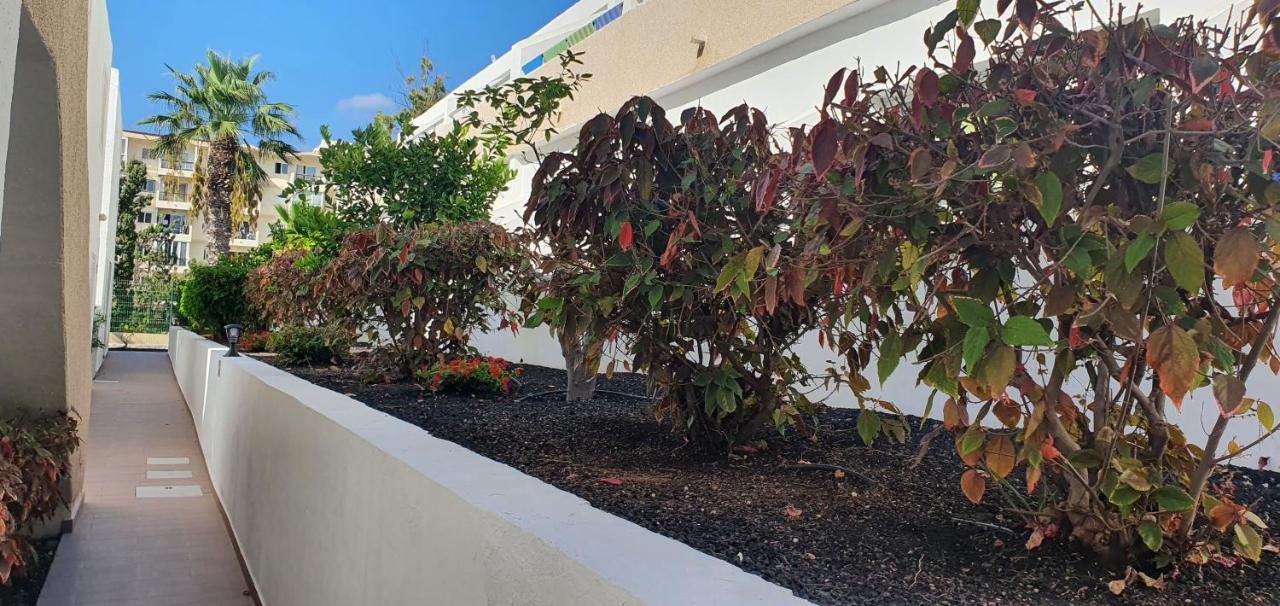 Adults Only Sunny Quiet Apartment In Center Of Las Americas Arona  Luaran gambar