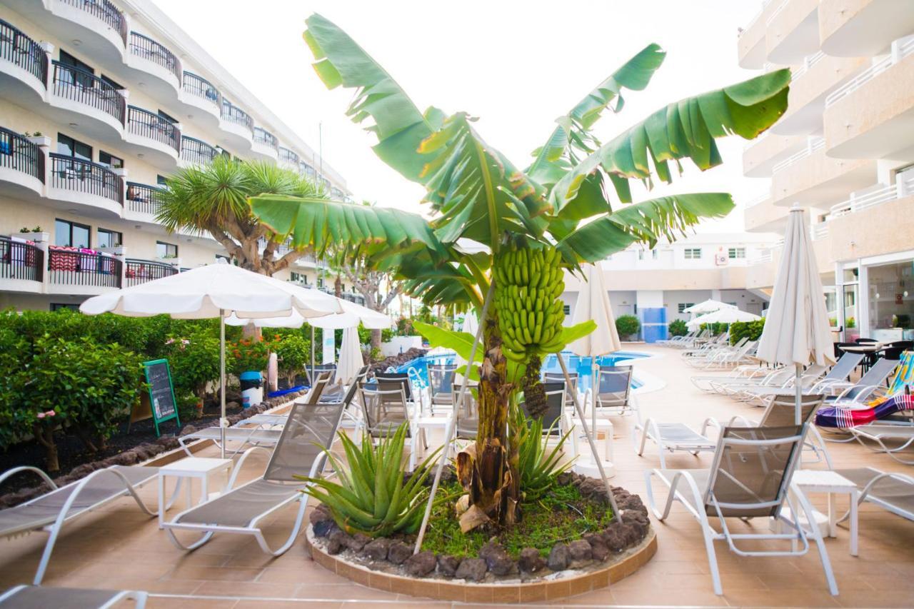 Adults Only Sunny Quiet Apartment In Center Of Las Americas Arona  Luaran gambar